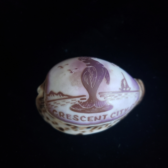 #Handcraved Cowrie Shell Souvenir Crescent City CA Sea Scene - Picture 2 of 7